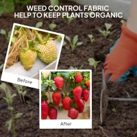 Outsunny 2m x 90m Weed Control Membrane, Heavy Duty Weed Control Barrier Fabric, 90gsm Ground Cover for Patios, Garden, Flower beds, Landscaping(m-6)