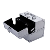 HOMCOM Maletín Maquillaje Profesional Estuche de Cosmético Portátil con Bandejas de 3 Niveles y Espejo 2 Llaves para Joyero Manicura Viaje 20x15x15 cm Plateado(m-7)