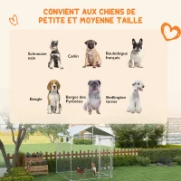 PawHut Chenil d'extérieur pour chiens - enclos parc 4m² avec auvent et porte verrouillable - Dim. 200L x 200l x 237H cm(m-4)