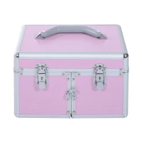 HOMCOM Mallette de maquillage professionnelle cosmétique vanity beauté portable Divers compartiments 29x21x20cm Aluminium(m-1)