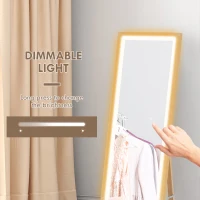 HOMCOM Full Length Mirror, with Adjustable Outer Light, Oak(m-5)