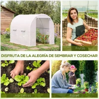 Outsunny Invernadero de Túnel con Puerta Enrollable y 4 Ventanas para Cultivo Plantas Verduras 245x200x200 cm Blanco(m-6)
