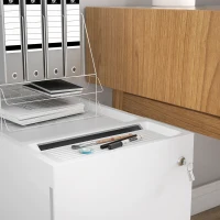 HOMCOM Schedario per Ufficio con 2 Cassetti, Fessura a Busta e Barra per Appendere, in Acciaio, 30x50x53.5 cm, Bianco(m-9)