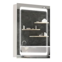 kleankin LED Illuminated Bathroom Mirror Cabinet with LED Lights, Wall-mounted Storage Organizer with Shelves, Touch Switch For Makeup Cosmetic(m-11)