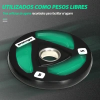 SPORTNOW Juego de 2 Discos de Pesas Olímpicas de 5 kg con Orificio de 5 cm para Entrenamiento de Fuerza Ø24x3,5 cm Negro(m-4)