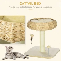 PawHut 51cm Cat Tree Kitten Tower, with Sisal Scratching Post, Top Bed, Toy Ball(m-4)