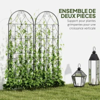 Outsunny Support pour plantes grimpantes avec motif lot de 2 treillis de jardin pour vigne fleurs légumes métal 50 x 150 cm noir(m-4)