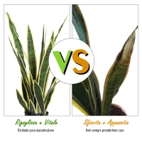 Outsunny Sanseveria Artificiale Pianta Finta Realistica con Vaso,  Ø15cm x 80cm, Verde e Giallo(m-6)