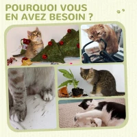 PawHut Poteau à gratter pour chat griffoir pour chat balle avec clochette 2 brosses de toilettage 59,5 x 39 x 79 cm beige crème(m-6)