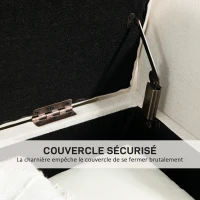 HOMCOM Banc coffre de rangement capitonné avec accoudoirs pour la chambre à coucher, entrée, salon, beige(m-7)