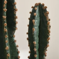Outsunny Cactus artificiel grand réalisme plante artificielle grande taille dim. Ø 17 x 60H cm vert(m-9)