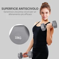SPORTNOW Set 2 Manubri Esagonali da 2x10 kg in Metallo e Plastica con Impugnatura Antiscivolo, 26x12x12 cm, Grigio(m-6)
