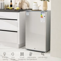HOMCOM 91L Freestanding Under-Counter Fridge with Lock - Grey(m-8)