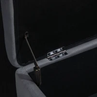 HOMCOM Banc de rangement coffre de rangement design contemporain- banc avec espace de stockage - dim. 100L x 40l x 42H cm - velours gris foncé piètement métal doré(m-9)