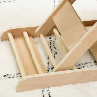 PawHut Rampa per Cani Pieghevole e Antiscivolo con Altezza Regolabile su 4 Livelli per Animali fino 15kg(m-9)