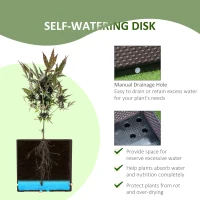 Outsunny 50cm x 50cm x 46.5cm Set of 2 41L Plastic Raised Garden Bed, Planter Box, Flower Vegetables Planting Container with Self-Watering Design and Drainage Holes for Patio Balcony(m-4)