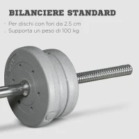 SPORTNOW Bilanciere da Squat, Stacchi da Terra e Sollevamenti, per Pesi da Ø2.5 cm da 100kg mx, in Acciaio, Ø2.5x170 cm, Argento(m-4)