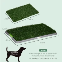 PawHut Inodoro para Perros con 2 Céspedes Artificiales Rejilla y Bandeja para Entrenamiento de Cachorros 67x41x3,5 cm Verde(m-3)