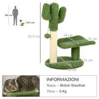 PawHut Albero per Gatti a forma di Cactus con Tiragraffi e Pallina da Gioco, 35x31x55.5 cm, Verde e Bianco(m-3)