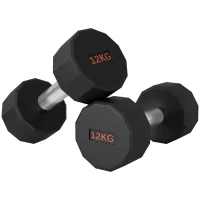 SPORTNOW Dumbbells Weights Set with 12-Sided Shape and Non-Slip Grip for Men Women Home Gym Workout, 2 x 12kg(m-11)