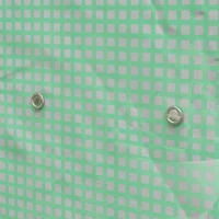 Outsunny 4 Tier Mini Greenhouse with Reinforced PE Cover, Portable Indoor Outdoor Green House with Roll-up Door and Wire Shelves, 170H x 120W x 50Dcm, Green(m-9)