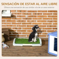 PawHut Arenero para Perros con Césped Artificial Rejilla y Bandeja para Entrenamiento de Cachorros 63x48,5x6 cm Multicolor(m-4)