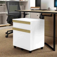 Vinsetto Caisson de bureau à roulettes avec 2 tiroirs coulissants trieur à dossiers 48 x 40 x 59,5 cm blanc(m-9)