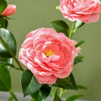 HOMCOM Artificial Plant Camellia Flower in Pot, Fake Plant for Indoor , 95cm, Pink(m-8)
