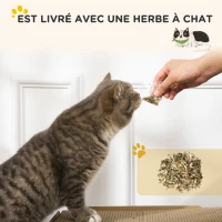 PawHut Griffoir pour chat en forme de radio avec herbe à chat, maison 2 en 1 carton ondulé pour chat chaton 57 x 24,5 x 39 cm(m-7)