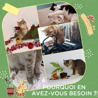 PawHut Lot de 2 griffoirs grattoir mural ou à poser forme original cactus avec surface à gratter en jute 30 x 60 cm marron blanc vert(m-7)