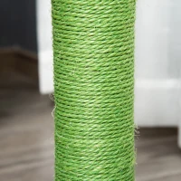 PawHut Albero Tiragraffi per Gatti a Forma di Cactus con Corde in Sisal, 40x40x65 cm, Verde(m-8)