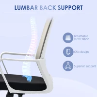 Vinsetto Ergonomic Desk Chair Mesh Office Chair with Adjustable Height Armrest and 360° Swivel Castor Wheels Black(m-6)