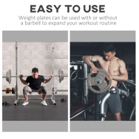 HOMCOM Set of 6 Cast Iron Olympic Weight for 2"/5cm Hole Dumbbell Handle Bar 35kg Dumbbell Plates Barbell Weight 2 x 5kg, 2 x 2.5kg, 2 x 10kg(m-4)