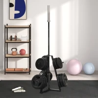 SPORTNOW Support de poids pour plaques, barres et haltères -  rack de rangement pour plaques de poids capacité max. 300 kg(m-2)