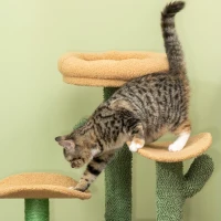 PawHut Multi Level Cat Tree, with Scratching Post, Toy Ball, Cat House, Bed - Green(m-8)