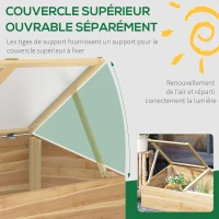 Outsunny Mini Serre de Jardin Serre pour semis dim. 100L x 50l x 36H cm Toit 2 pans ouvrables séparemment Panneaux de Polycarbonate Bois Sapin pré-huilé(m-4)
