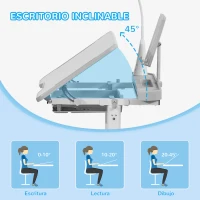 HOMCOM Escritorio y Silla para +6 Años con Altura Ajustable e Inclinable 80x49,5x82-104 cm y 35,5x43,5x63-73 cm Gris(m-5)