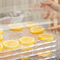 HOMCOM 5 Tier Food Dehydrator, 245W Stainless Steel Food Dryer Machine with Adjustable Temperature, Timer and LCD Display for Drying Fruit, Meat, Vegetable, Jerky and Pet Treat, Grey(m-9)