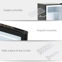 HOMCOM Mini congélateur Température Réglable de -14 à -24°C Compact 35L - étagère Amovible - Porte réversible Classe E - 47 x 44,2 x 48,8 cm - Noir(m-7)