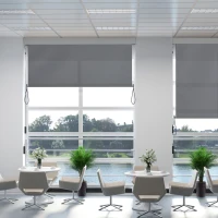 Outsunny Toldo Vertical Enrollable con Manivela Protección UV para Interior y Exterior Balcón Porche Terraza 140x250 cm Gris(m-2)