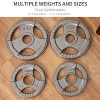 HOMCOM Set of 4 Weight Plate for 2 inch/5cm hole Dumbbell Handle Bar 15kg Dumbbell Plates Barbell Weight 2 x 5kg, 2 x 2.5kg(m-7)