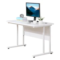 HOMCOM Computer Desk, Home Office Desk, Writing Table, 120x60x75cm Laptop Workstation with 2 Cable Management Holes, C Shaped Metal Legs for Adults, White(m-1)