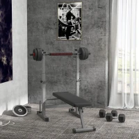 HOMCOM Banc de musculation pliable avec support d'haltères réglable et poignées dips - fitness(m-2)