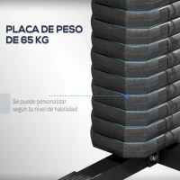 HOMCOM Máquina de Musculación con Placas de Peso de 65 kg Carga Max. 100 kg para Entrenamiento Fitness en Hogar Negro y Rojo(m-5)