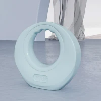 SPORTNOW 6kg Kettlebell, Kettle Bell with Wide Handle for Home Gym, Weight Lifting, Strength Training, Light Grey(m-7)