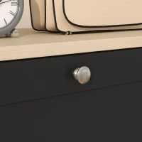 HOMCOM Mueble Zapatero Moderno con 3 Cajones Abatibles y Estantes Ajustables para 18 Pares de Zapatos 60x23,5x115 cm Negro(m-9)