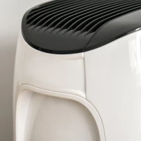 HOMCOM Purificateur d'air + Filtre pour purificateur d'air Ioniseur CADR 210m³/h minuterie filtre à charbon actif filtre HEPA(m-9)