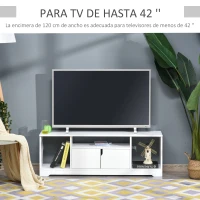 HOMCOM Mueble de TV para Televisor de hasta 42" Mesa para TV de Salón Moderna con Armario de Doble Puerta y 3 Compartimentos Abiertos 120x30x41cm Blanco(m-4)