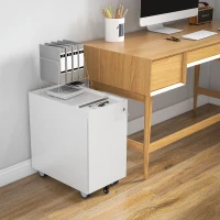 HOMCOM Schedario per Ufficio con 2 Cassetti, Fessura a Busta e Barra per Appendere, in Acciaio, 30x50x53.5 cm, Bianco(m-8)