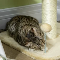 PawHut 51cm Cat Tree Kitten Tower, with Sisal Scratching Post, Top Bed, Toy Ball(m-9)